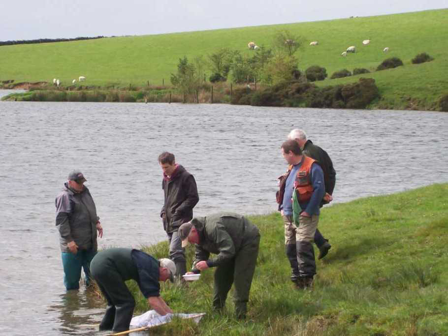 Ulverston Angling Photo